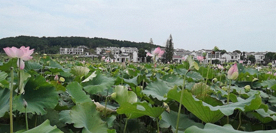 皇冠国际体育app(中国)官方网站-CROWN Sports