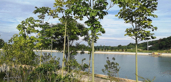 皇冠国际体育app(中国)官方网站-CROWN Sports