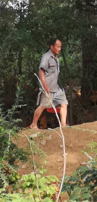 皇冠国际体育app(中国)官方网站-CROWN Sports