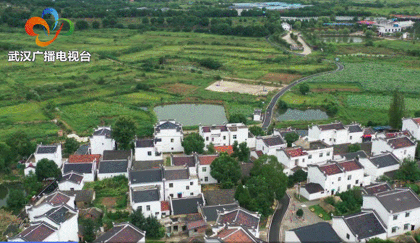 皇冠国际体育app(中国)官方网站-CROWN Sports