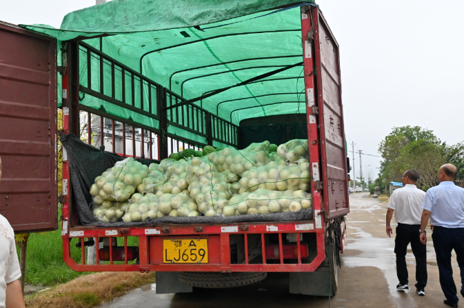 皇冠国际体育app(中国)官方网站-CROWN Sports