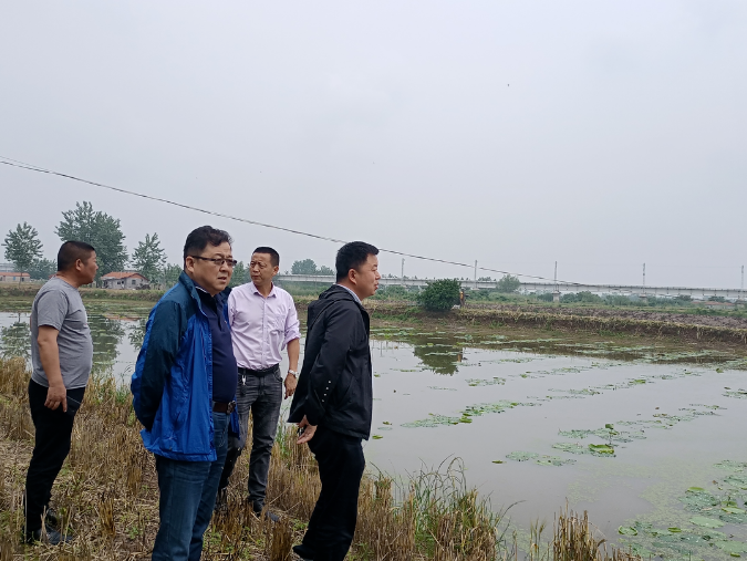 皇冠国际体育app(中国)官方网站-CROWN Sports